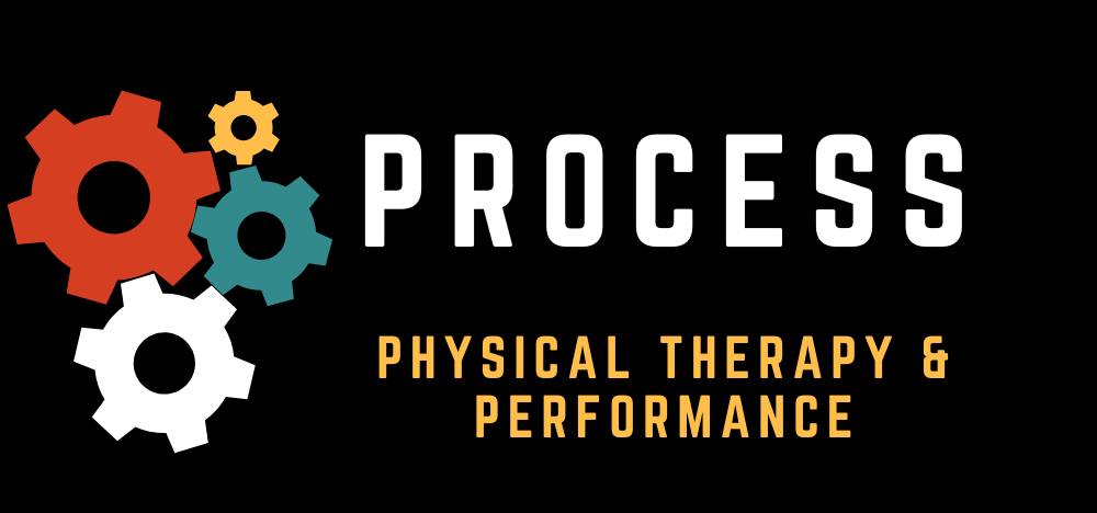 Process Logo-2